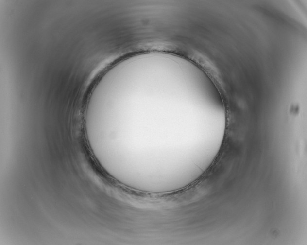 X0000090480012200707272329