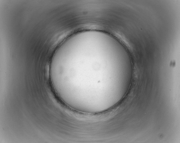 X0000090480014200707272329