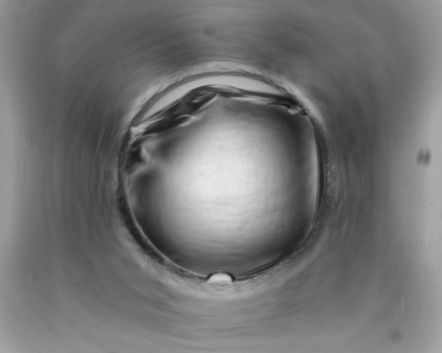 X0000090480015200707272329