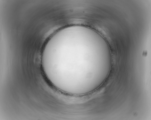 X0000090480016200707272329