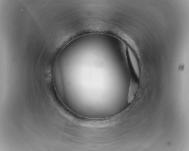 X0000090480017200707272329