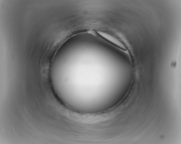X0000090480018200707272329