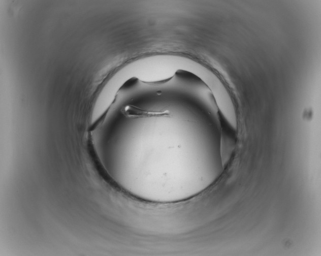 X0000090480019200707272329