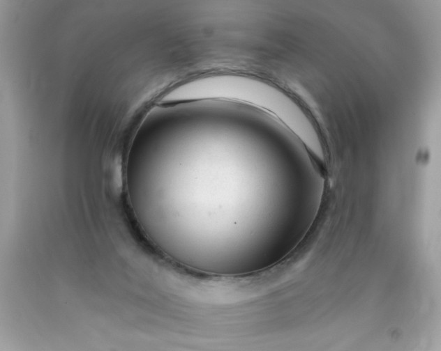 X0000090480020200707272329