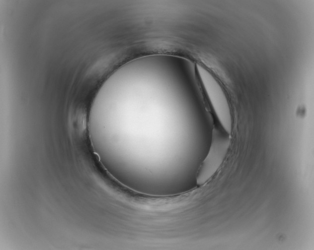 X0000090480021200707272329