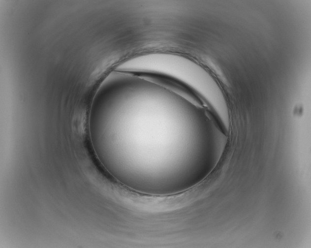 X0000090480023200707272329
