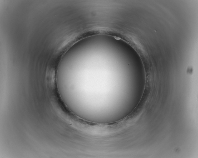 X0000090480024200707272329