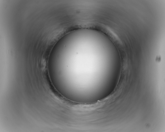X0000090480025200707272328