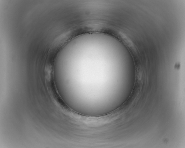 X0000090480026200707272328