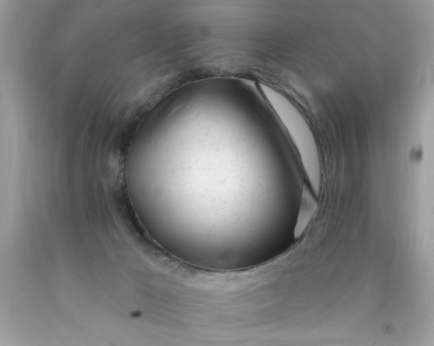 X0000090480029200707272328