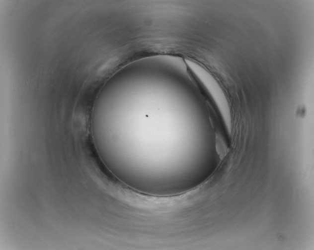 X0000090480031200707272328