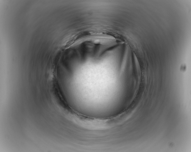 X0000090480032200707272328
