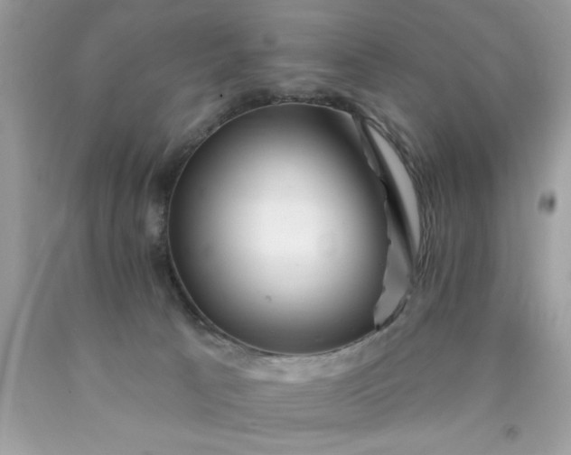 X0000090480033200707272328