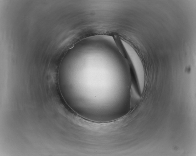 X0000090480035200707272328