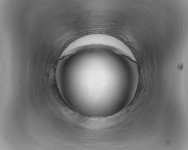 X0000090480037200707272328
