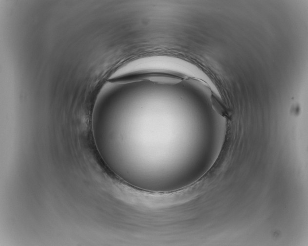 X0000090480039200707272328