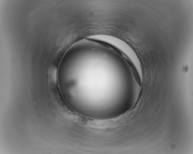 X0000090480041200707272328
