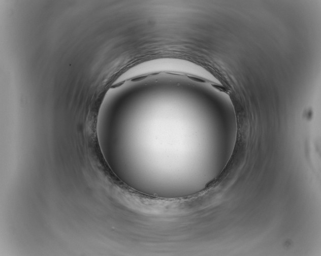 X0000090480044200707272328
