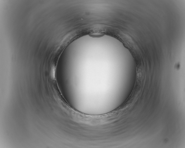 X0000090480046200707272328