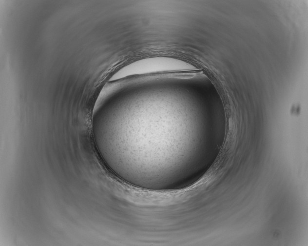 X0000090480048200707272328
