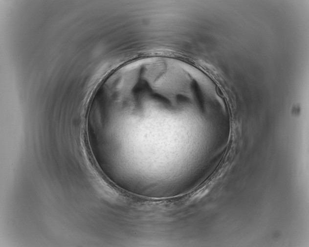 X0000090480049200707272327