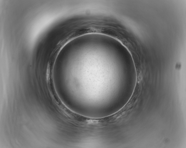 X0000090480052200707272327