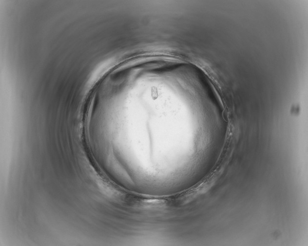 X0000090480053200707272327