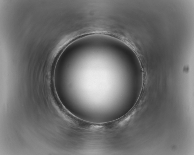 X0000090480055200707272328