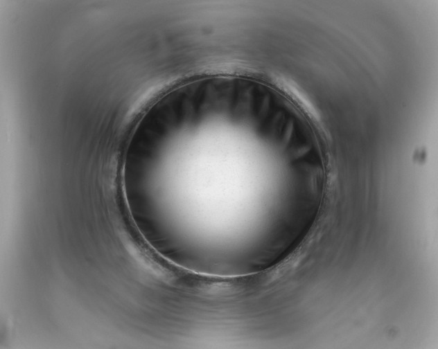 X0000090480058200707272328