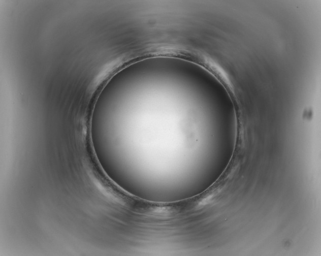 X0000090480059200707272328