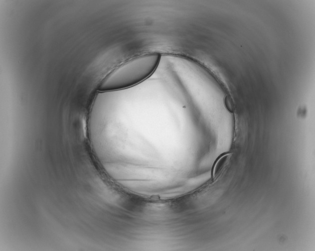 X0000090480061200707272328