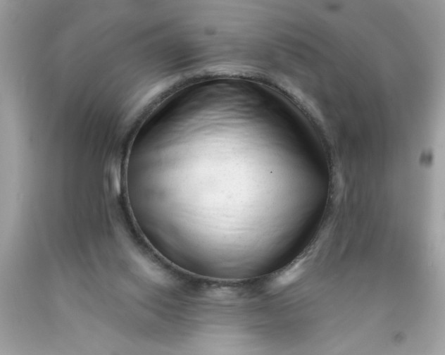 X0000090480062200707272328