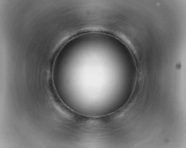 X0000090480063200707272328