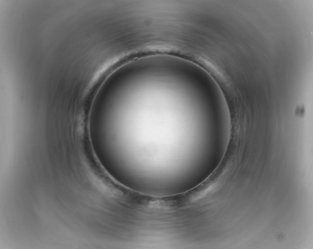 X0000090480064200707272328