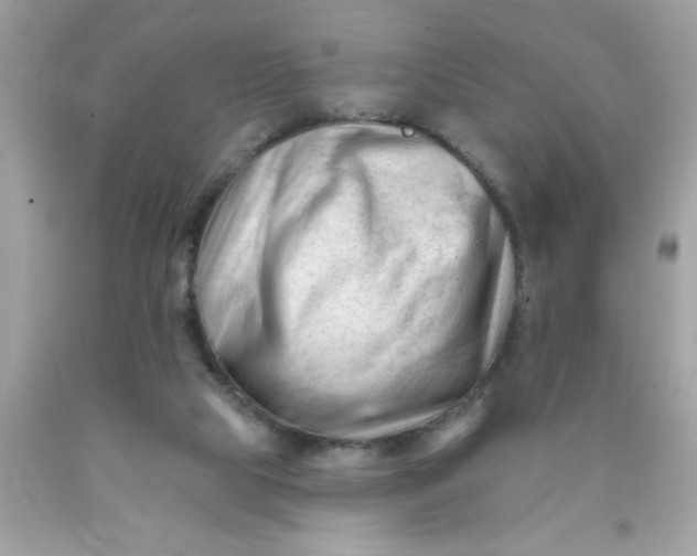 X0000090480065200707272328