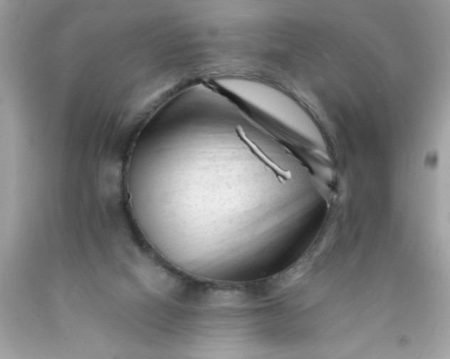 X0000090480066200707272328