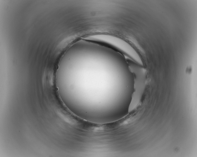 X0000090480068200707272328
