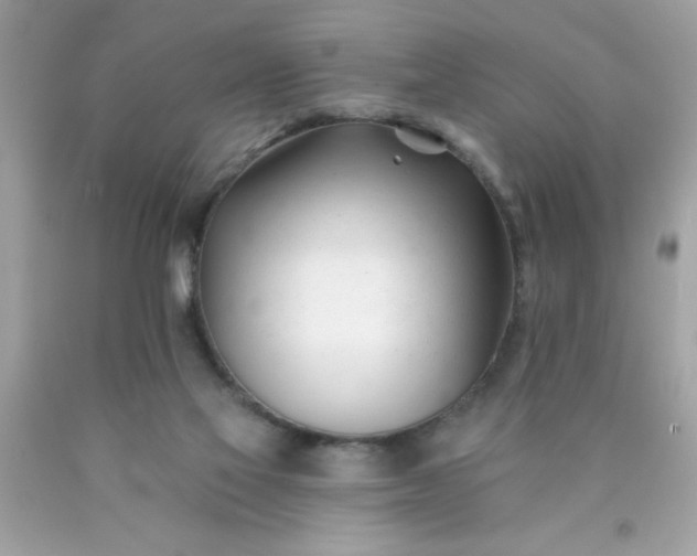 X0000090480069200707272328
