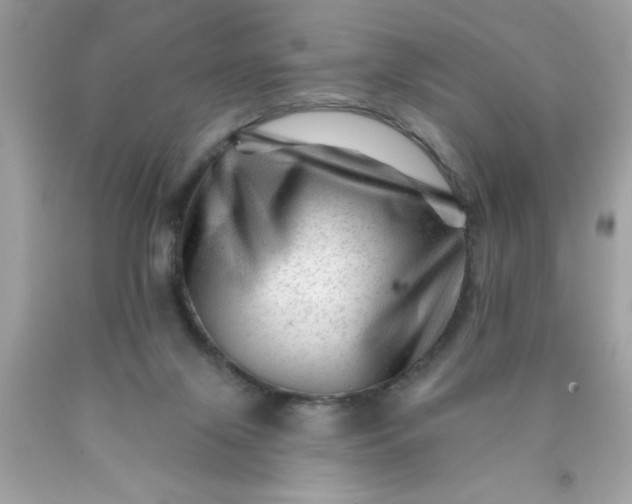 X0000090480071200707272328
