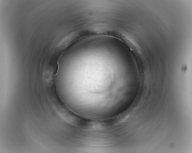 X0000090480073200707272328