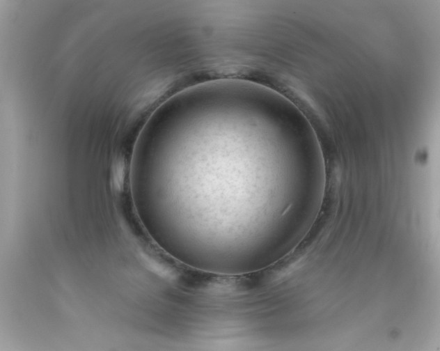 X0000090480076200707272328