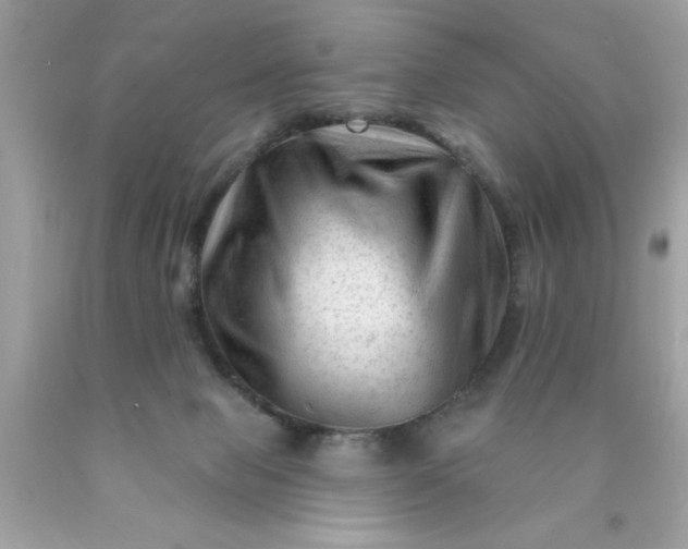 X0000090480077200707272328