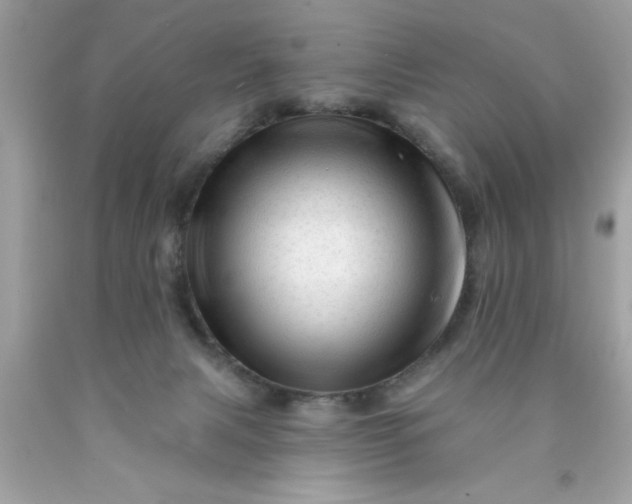 X0000090480079200707272328