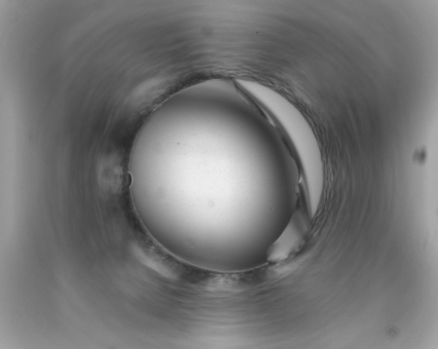 X0000090480080200707272328