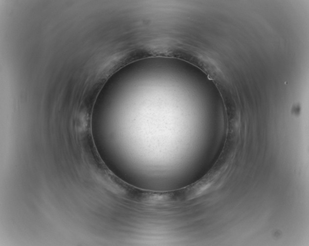 X0000090480081200707272328