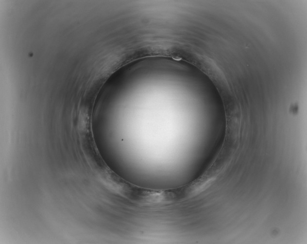 X0000090480083200707272328
