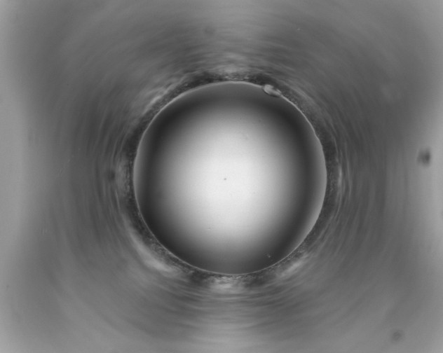 X0000090480088200707272328