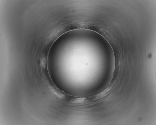X0000090480090200707272328