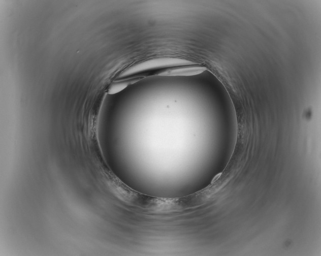 X0000090480093200707272328
