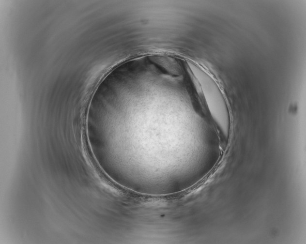 X0000090480097200707272327